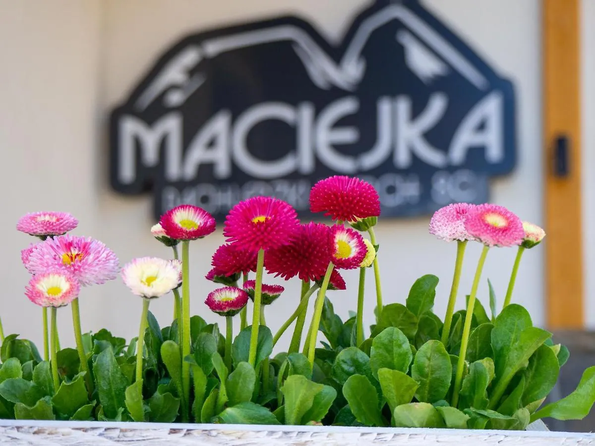Apartamenty Maciejka Odkryj Zakopane